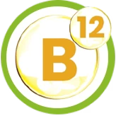 Vitamin B12 (as Methylcobalamin)
